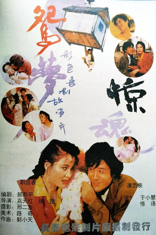 鸳梦惊魂 封面