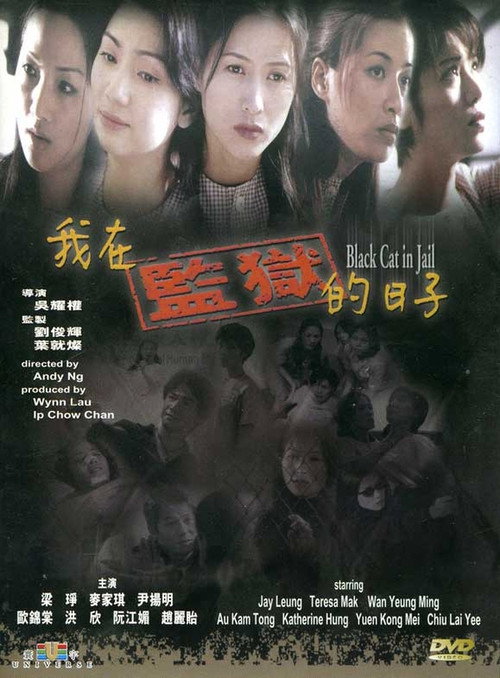 我在监狱的日子 封面