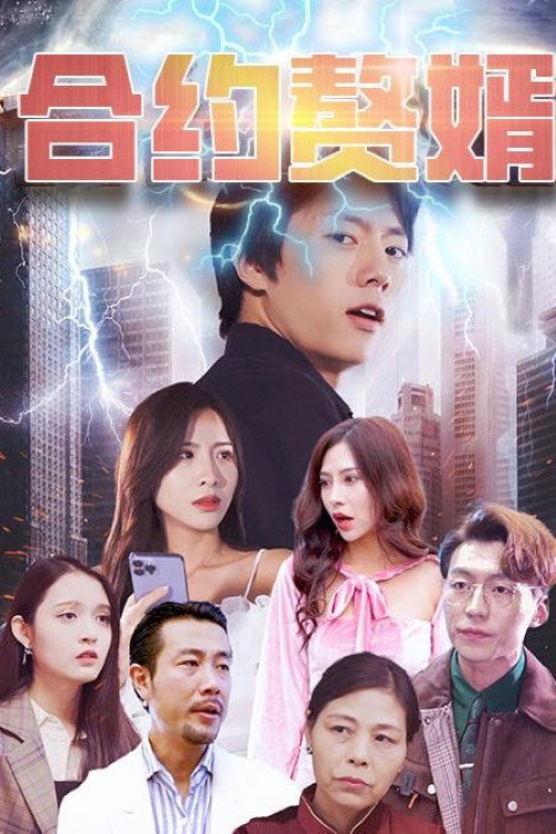 合约赘婿 封面