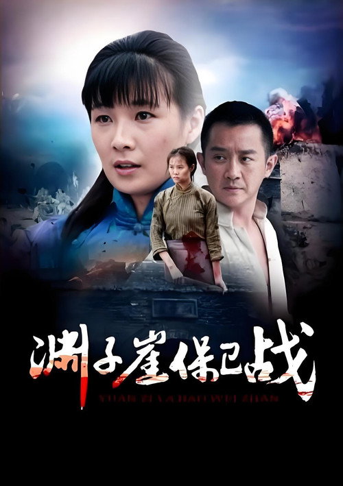 渊子崖保卫战 封面