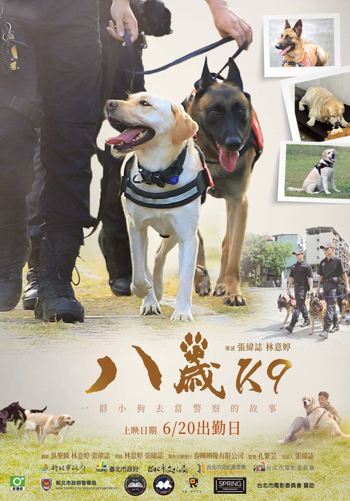 八歲 封面