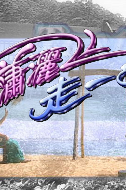 潇洒走一回 封面
