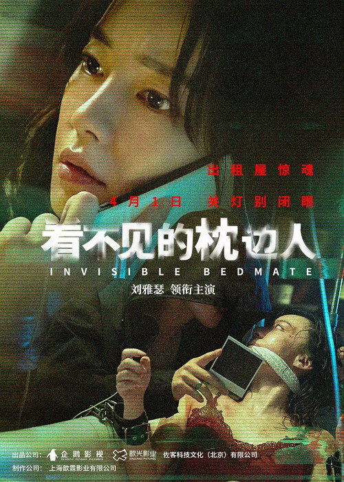 看不见的枕边人 封面