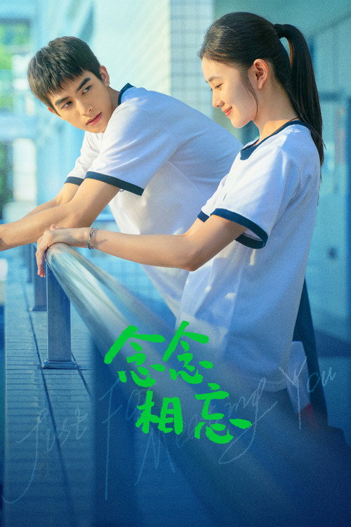 念念相忘 封面