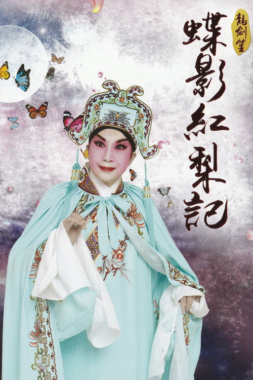 龙剑笙:蝶影红梨记 封面