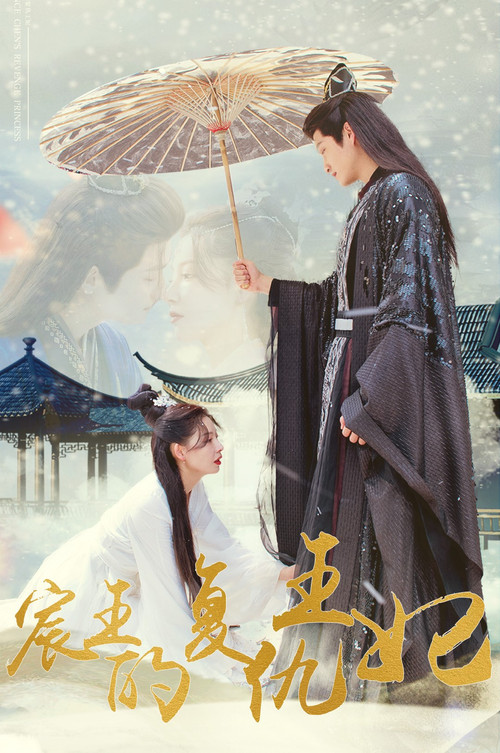 宸王的复仇王妃 封面