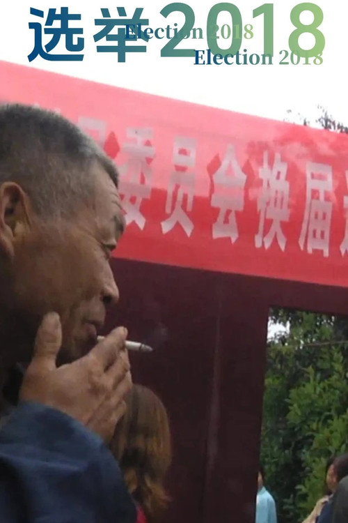 选举2018 封面