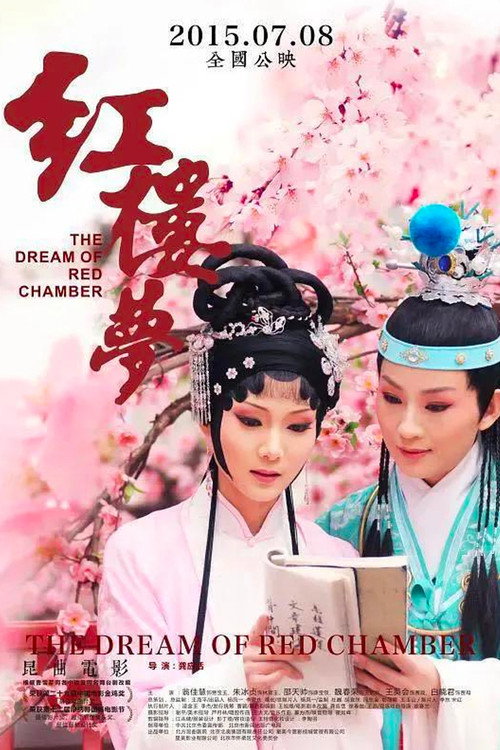 红楼梦 封面