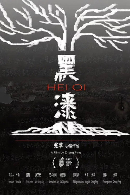 黑漆 封面