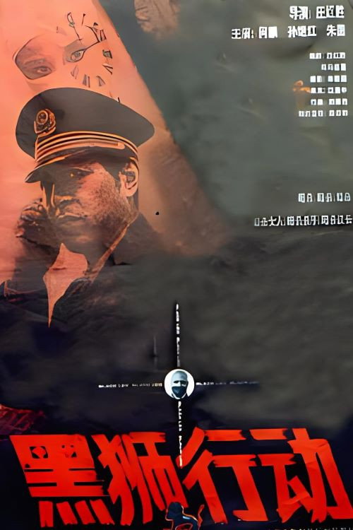 黑狮行动 封面