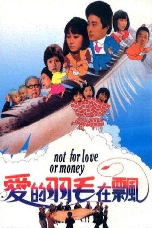 爱的羽毛在飘 封面