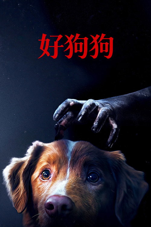 好狗狗 封面