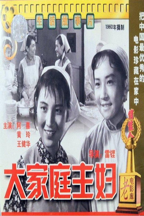 大家庭主妇 封面