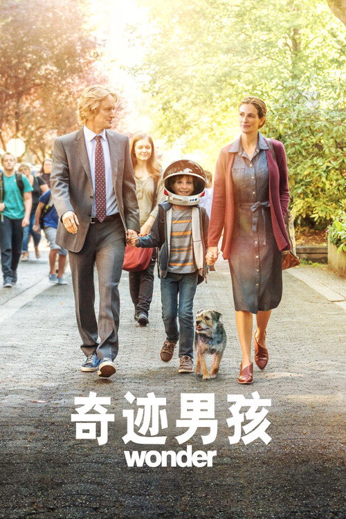 奇迹男孩 封面