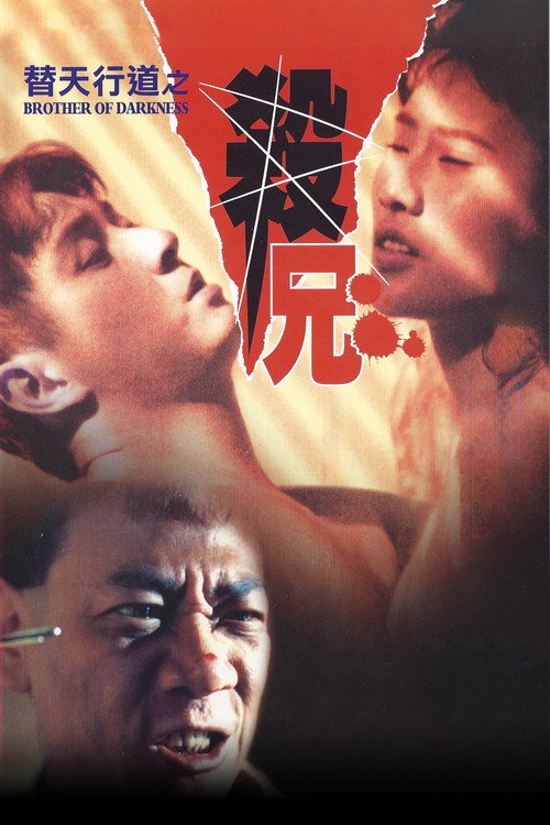 替天行道之杀兄 封面