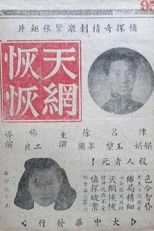 天网恢恢 封面
