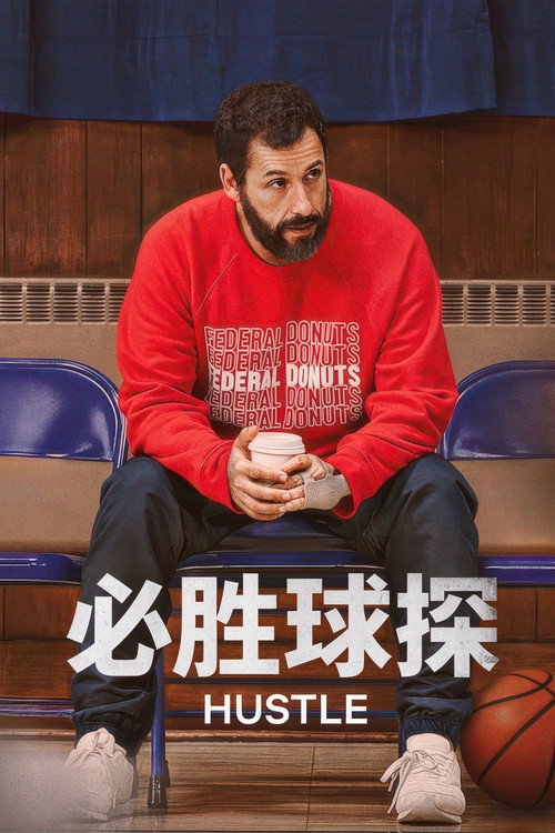 必胜球探 封面