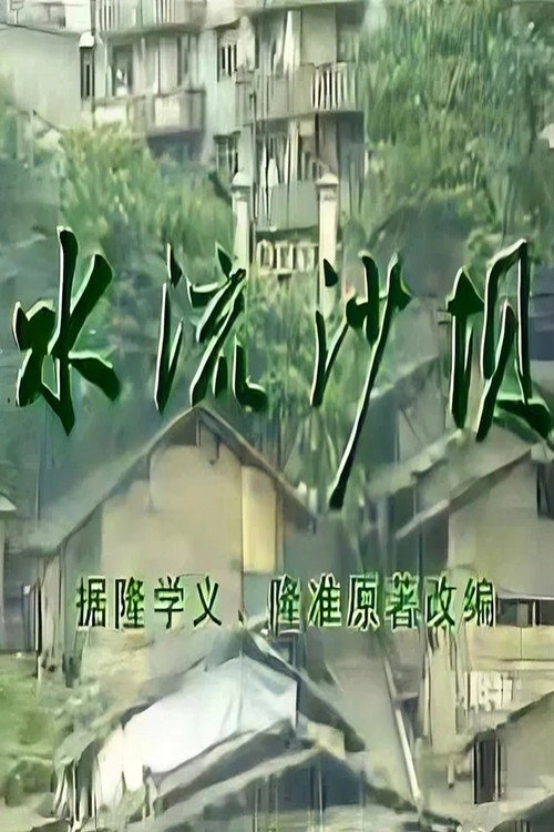 水流沙坝 封面