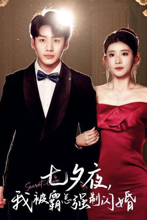七夕夜,我被霸总强制闪婚 封面
