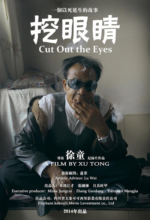 挖眼睛 封面