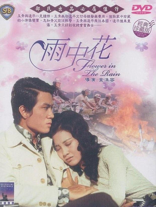 雨中花 封面