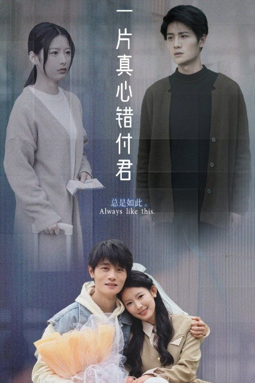 一片真心错付君 封面