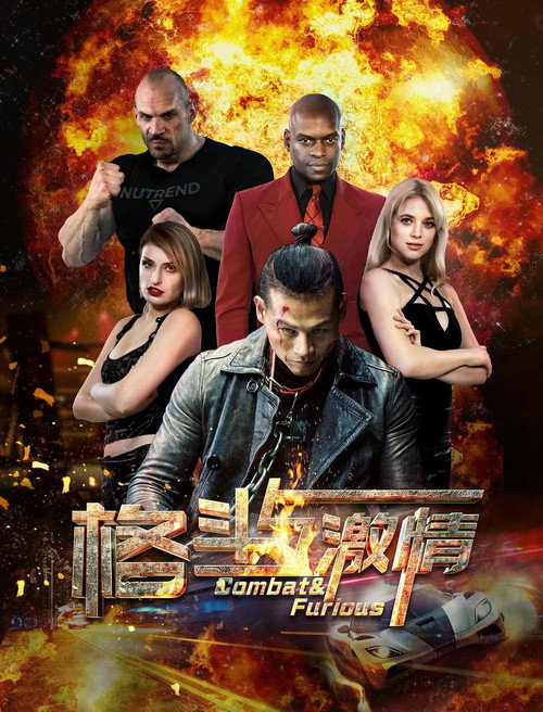 格斗与激情 封面