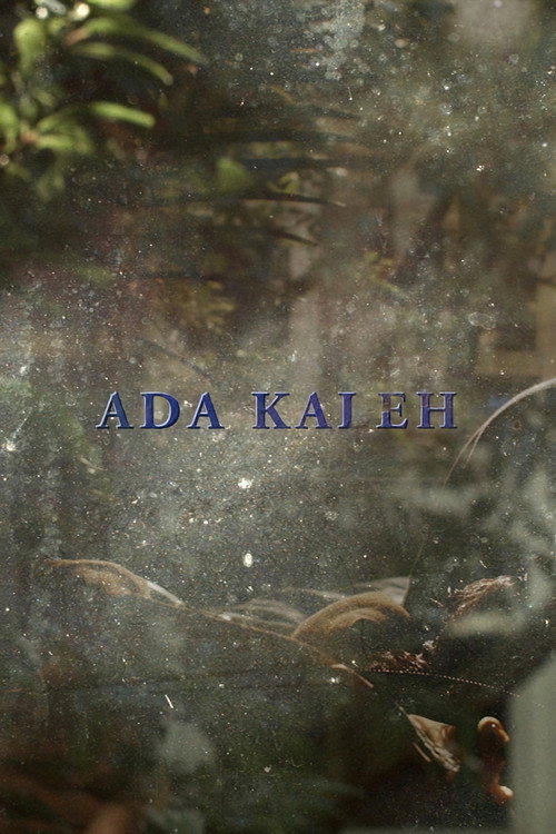 Ada Kaleh 封面