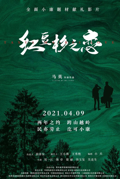 红豆杉之恋 封面