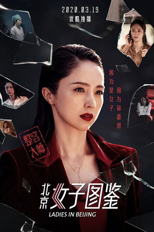 北京女子图鉴之整容大师 封面