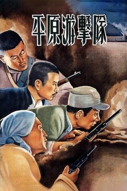 平原游击队 封面