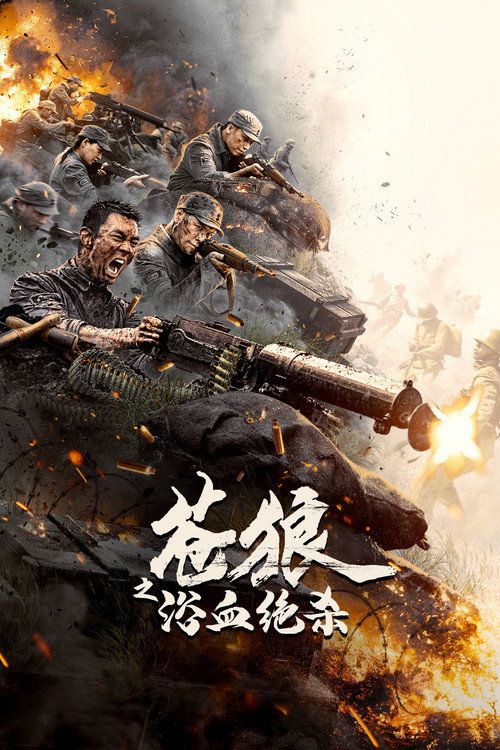 苍狼之浴血绝杀 封面