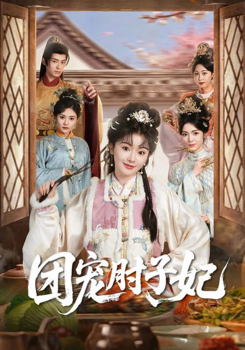 团宠肘子妃 封面