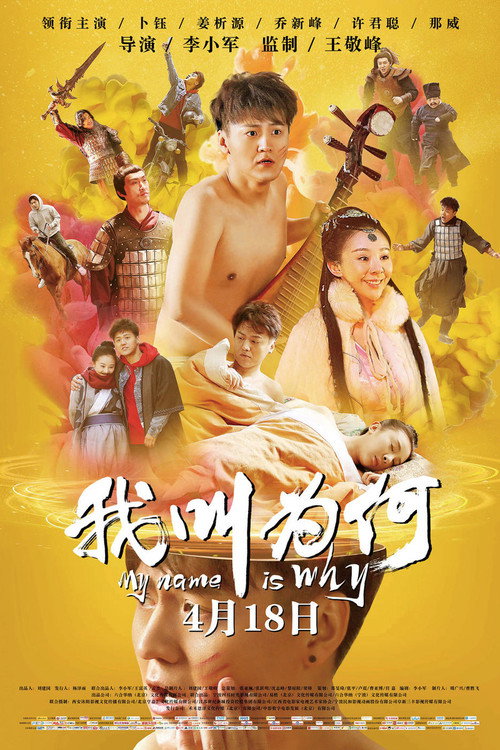 我叫为何 封面