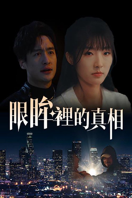 眼眸里的真相 封面