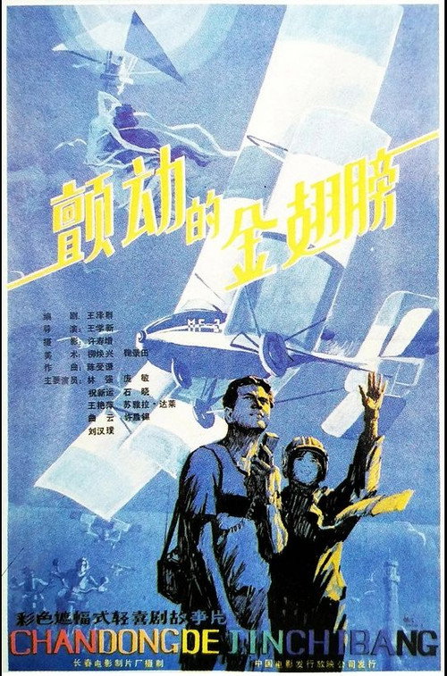 颤动的金翅膀 封面