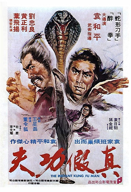 真假功夫 封面