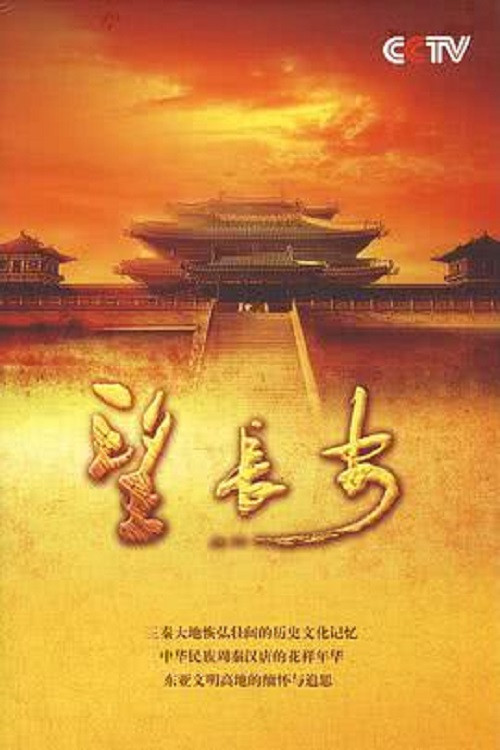 望长安 封面