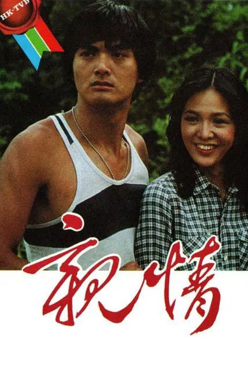 亲情 封面