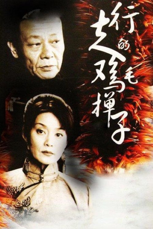 行走的鸡毛掸子 封面