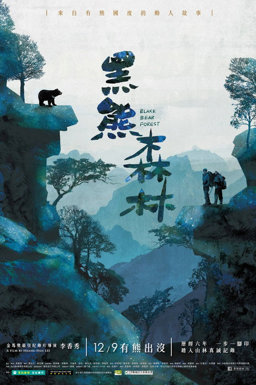 黑熊森林 封面