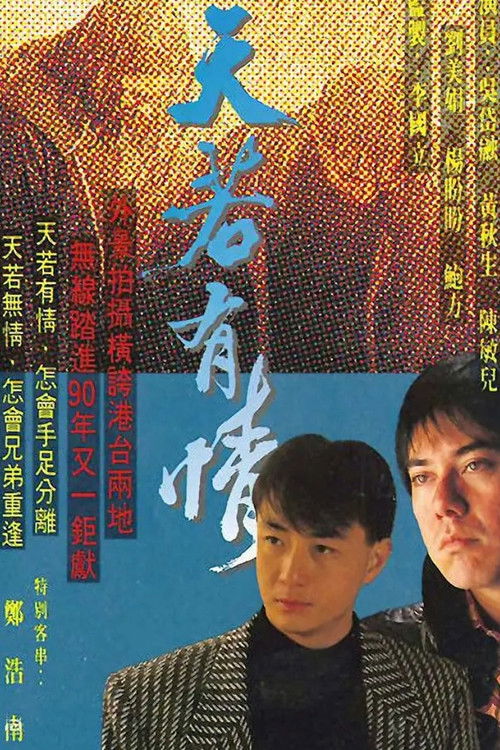 天若有情 封面