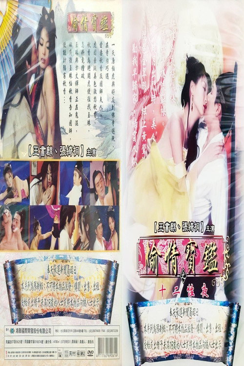 偷情宝鉴之欲海无涯 封面