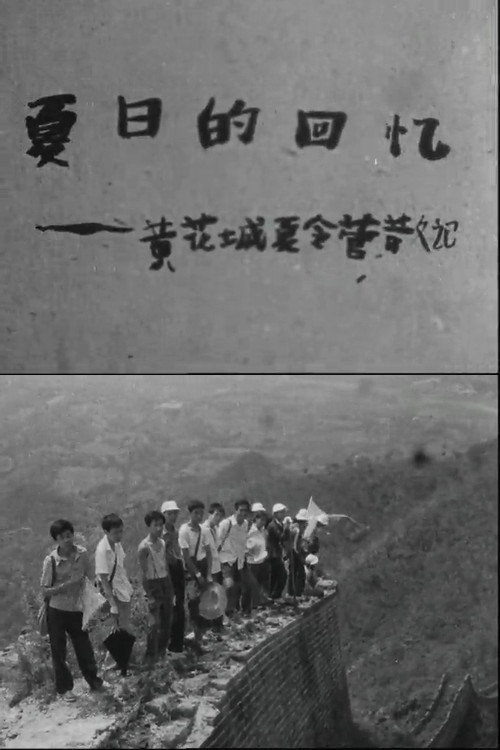 夏日的回忆 封面