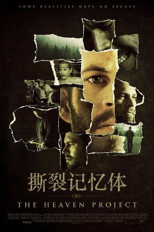 撕裂记忆体 封面