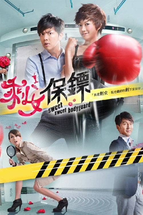 剩女保镖 封面