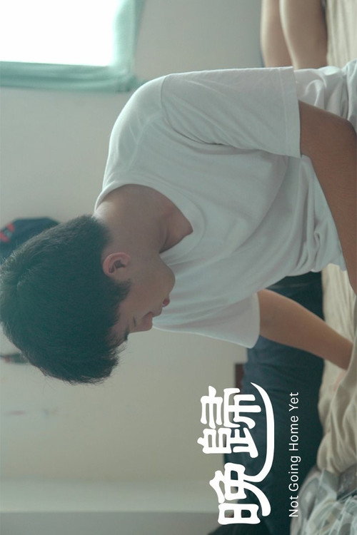 晚歸 封面