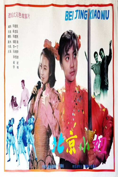 北京小妞 封面