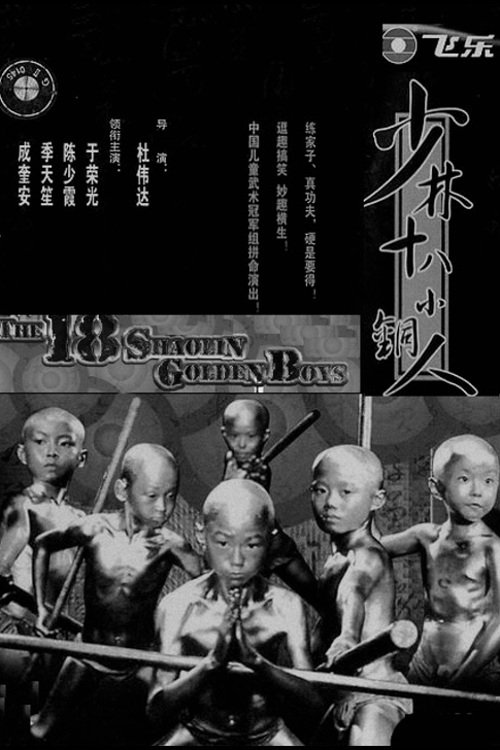 铜马铁燕传奇 封面