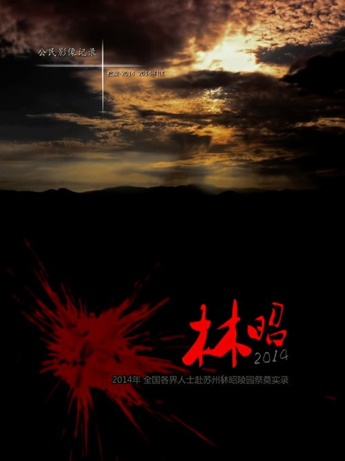 林昭 2014 封面